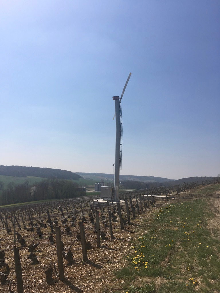 Real slope protected aginst frost